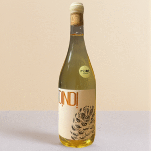 dindi malaparte wines vino blanco natural castilla y leon españa tienda de vinos naturales root concept