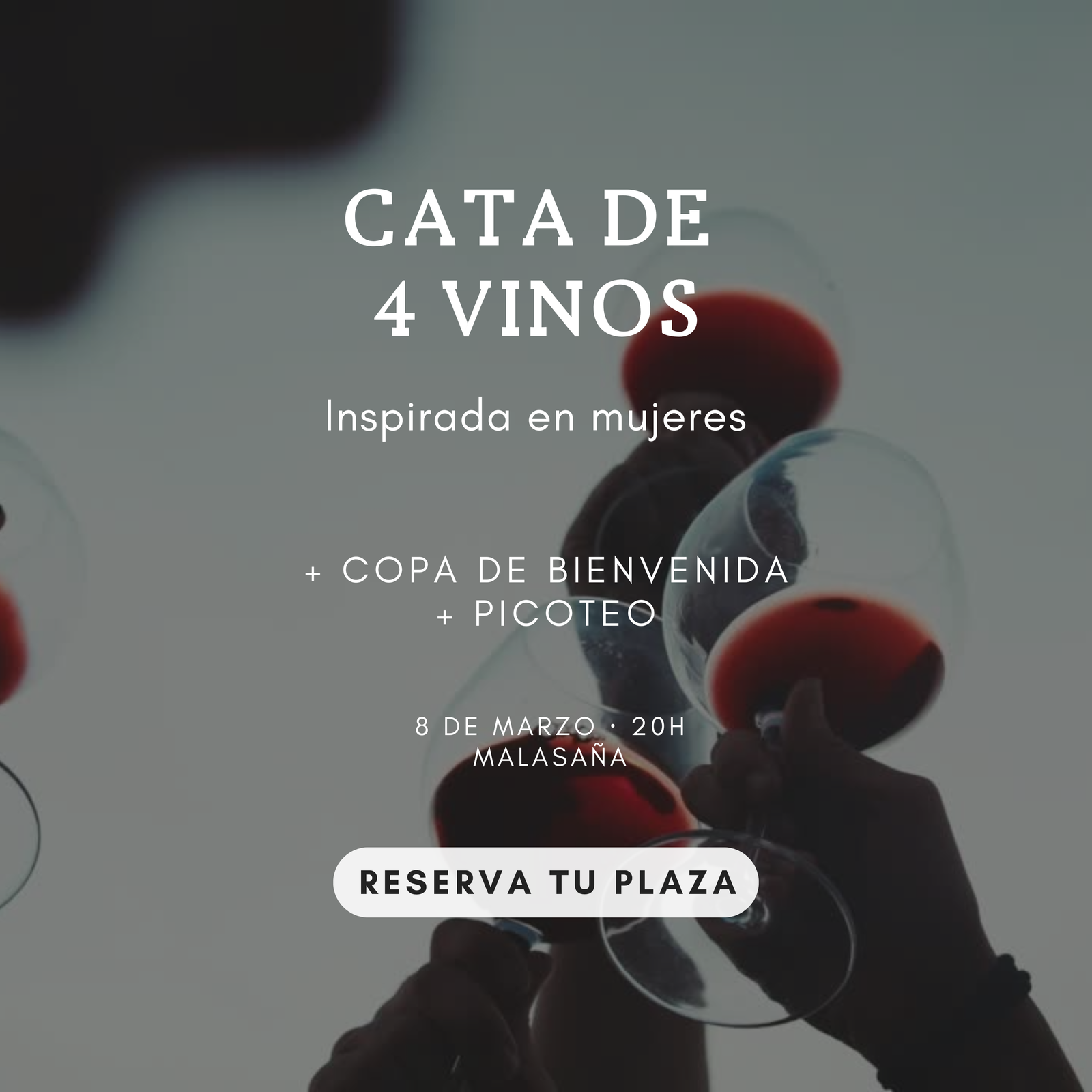 CATA DE VINOS 8/3